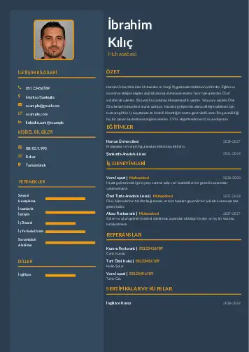 Muhasebeci Cv Örnekleri cv indir